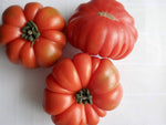 Beefsteak tomato seeds for planting extra - large and flavorful heirloom fruits - Dharaseeds