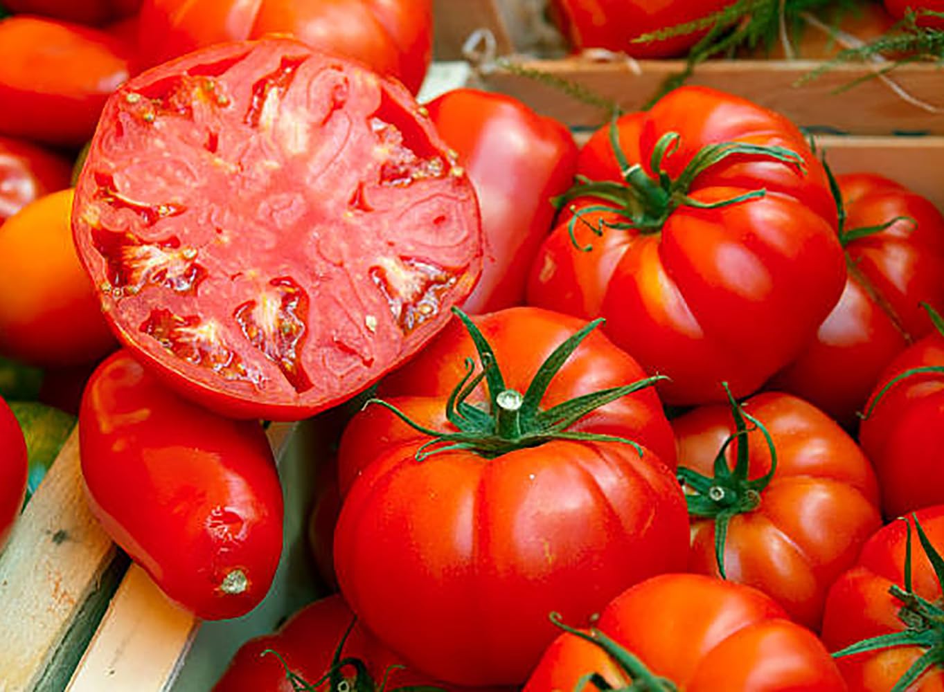 Beefsteak tomato Solanum lycopersicum nutrient - rich giant fruit seeds for planting in kitchen garden or grow bags - Dharaseeds