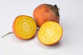 Beet Boldor Vegetable Seeds for Planting - 100 Pcs pcs - Dharaseeds