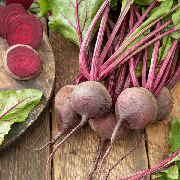 Beet Detroit Vegetable Seeds for Planting