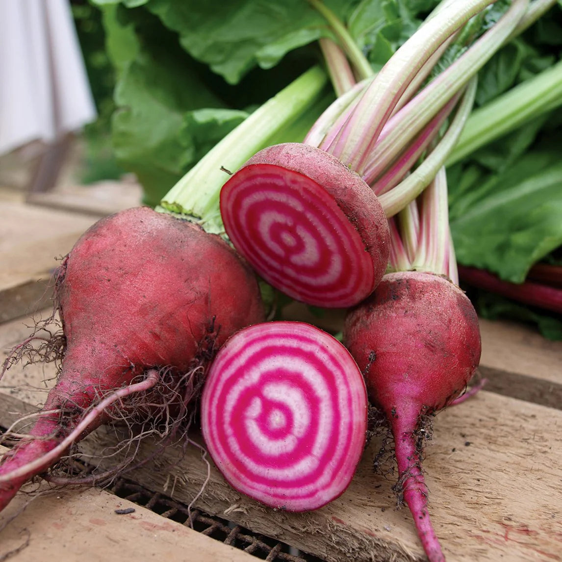 Beetroot Vegetable Seeds for Planting