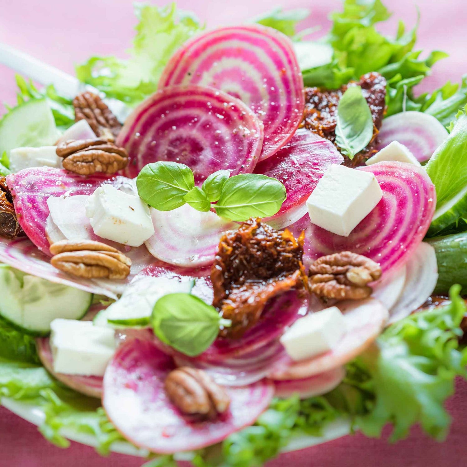 Beet Seeds - Chioggia