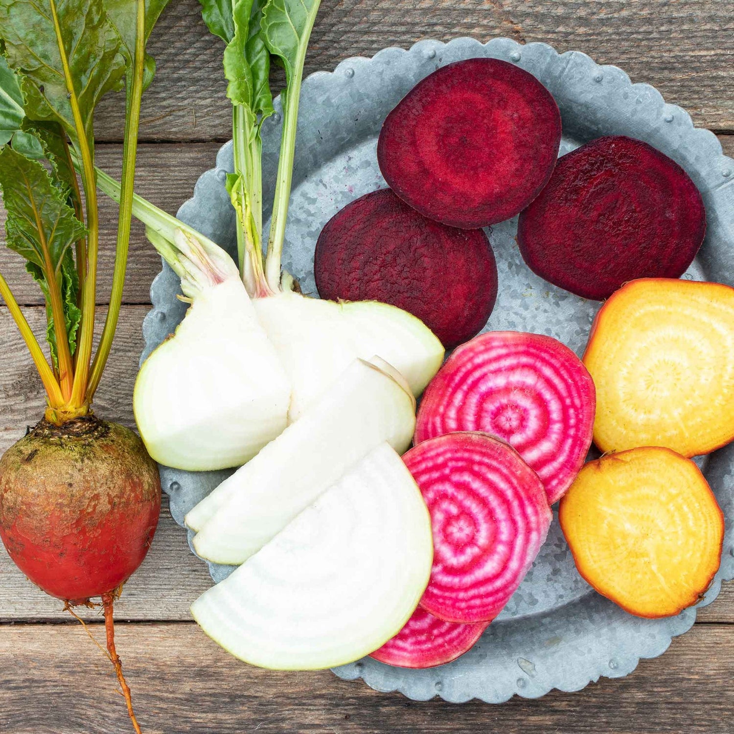 Beet Seeds - Rainbow Mix