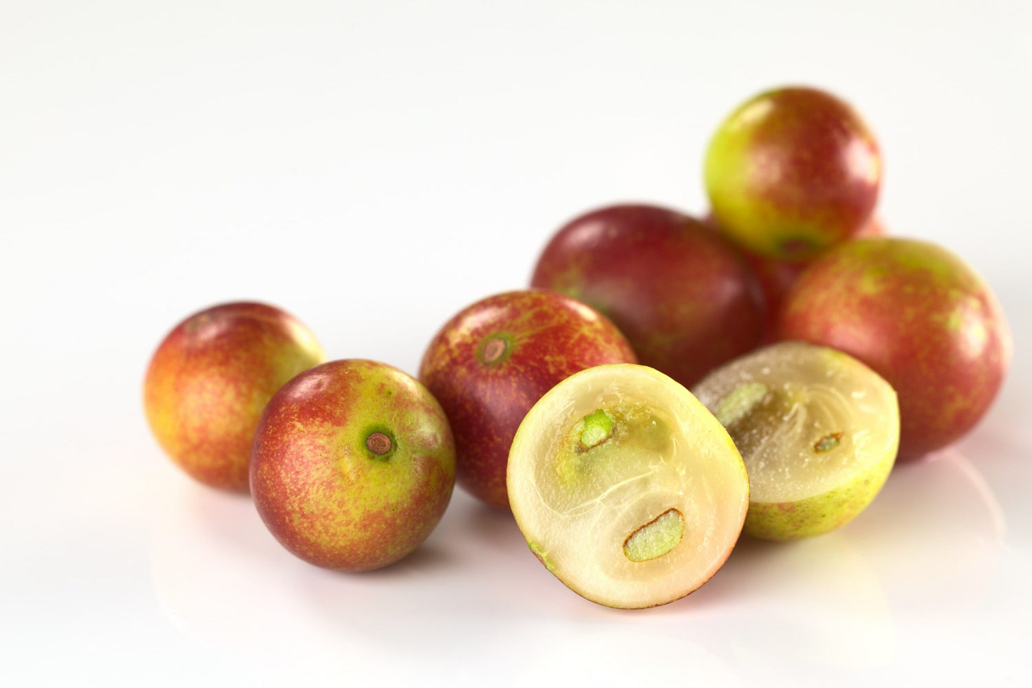 Camu Camu Tree Seeds (Myrciaria dubia)