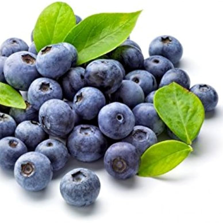 berry seeds for container gardening at home