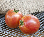 Bio Pink Bumble Bee Tomato Seeds – Striped Cherry Tomato with Sweet Flavor - Dharaseeds