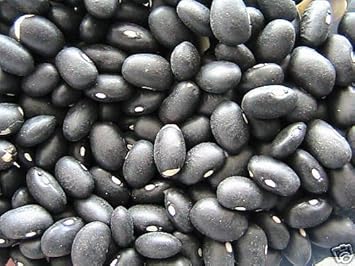 Black Coco Bean Seeds for Planting - 100 Pcs pcs - Dharaseeds