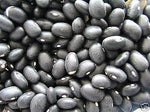 Black Coco Bean Seeds for Planting - 100 Pcs pcs - Dharaseeds