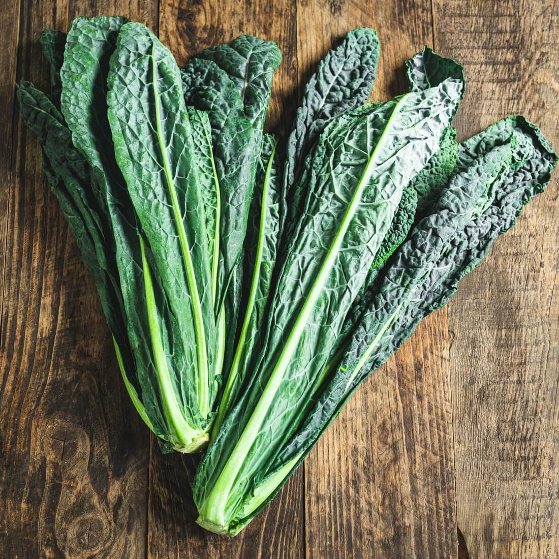 Kale Italian Vegetable Seeds for Planting