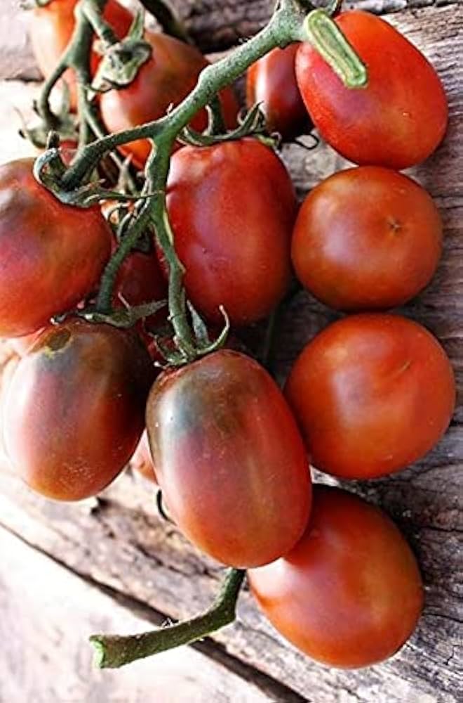 Black Plum tomato seeds – rich - flavored heirloom for roasting and drying - Dharaseeds