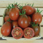Black Plum tomato seeds – rich - flavored heirloom for roasting and drying - Dharaseeds