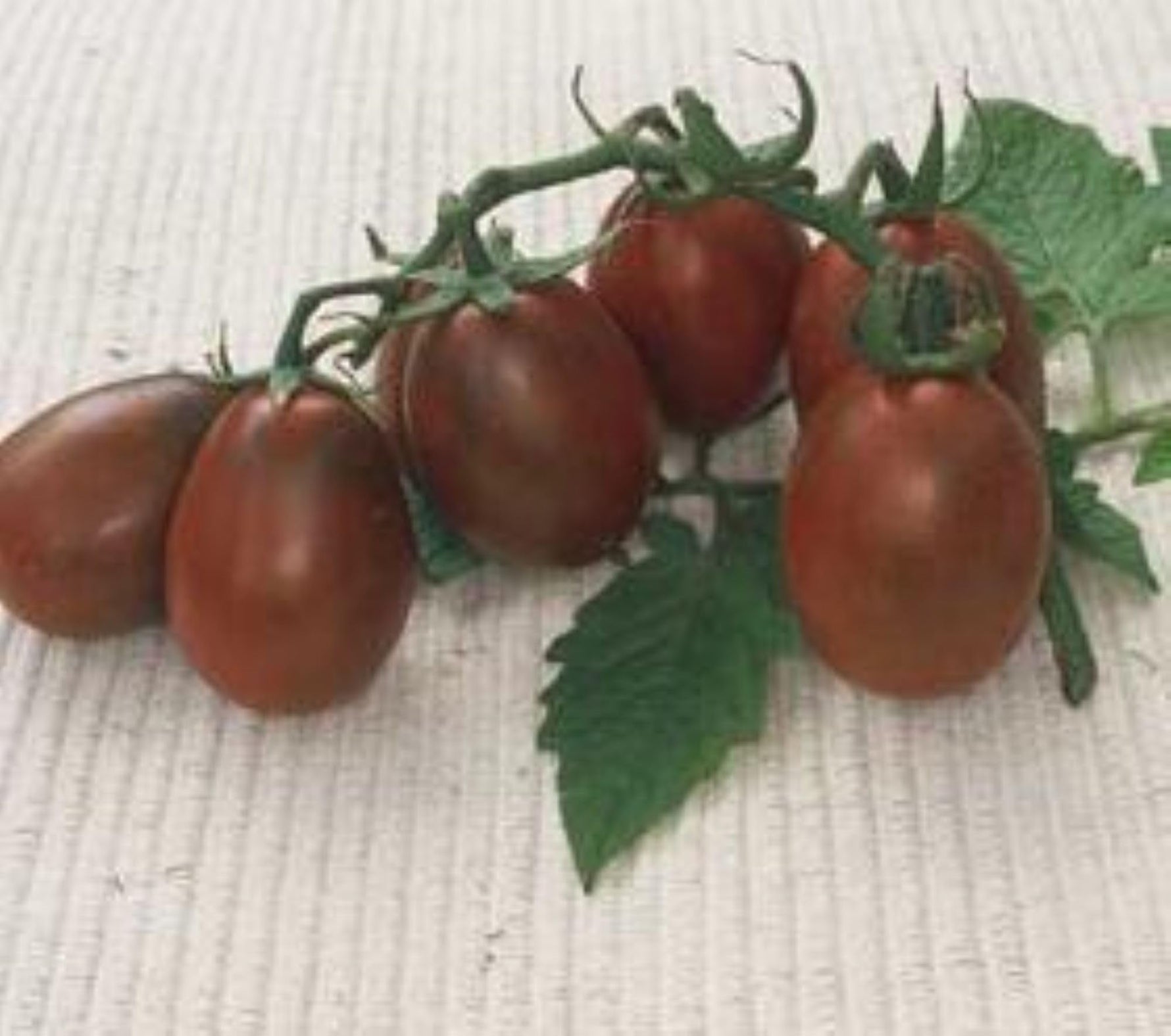Black Plum tomato seeds – rich - flavored heirloom for roasting and drying - Dharaseeds