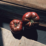 Black Russian tomato seeds indeterminate growth for home gardening