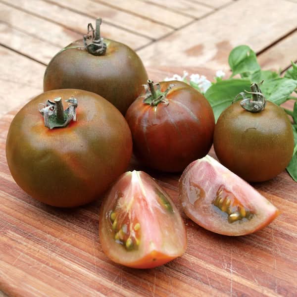 Non GMO Black Russian tomato seeds for high yield gardening