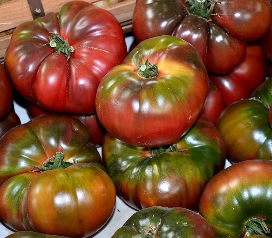 Black Tomato ‘Krim’ seeds – heirloom Lycopersicon with deep flavor - Dharaseeds