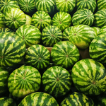 Blue Watermelon growing seeds for warm-season planting