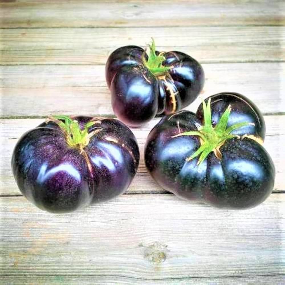 Brandywine Black tomato seeds for planting deep - colored rich heirloom tomatoes - Dharaseeds