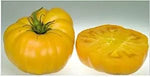 Brandywine Liam's Tomato Solanum lycopersicum vegetable seeds for planting in raised garden beds - Dharaseeds