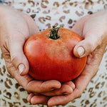 Brandywine Tomato Solanum lycopersicum vegetable seeds for backyard kitchen garden planting - Dharaseeds