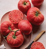 Brandywine Tomato Solanum lycopersicum vegetable seeds for backyard kitchen garden planting - Dharaseeds