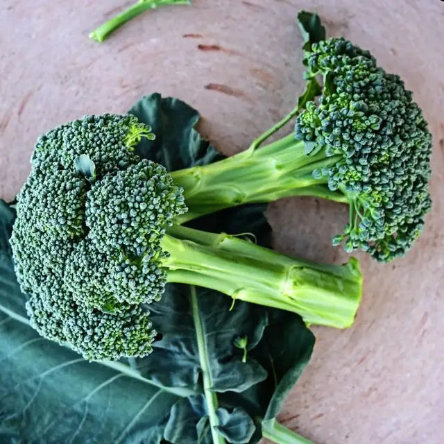 Broccoli Seeds, Calabrese Green Sprouting