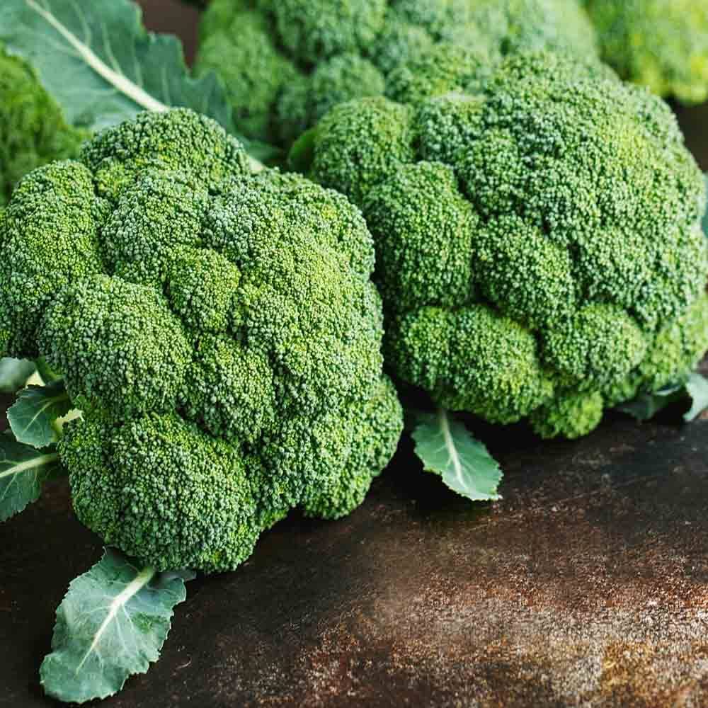 Broccoli ‘Kaiser’ vegetable seeds – nutrient - rich heirloom variety - Dharaseeds