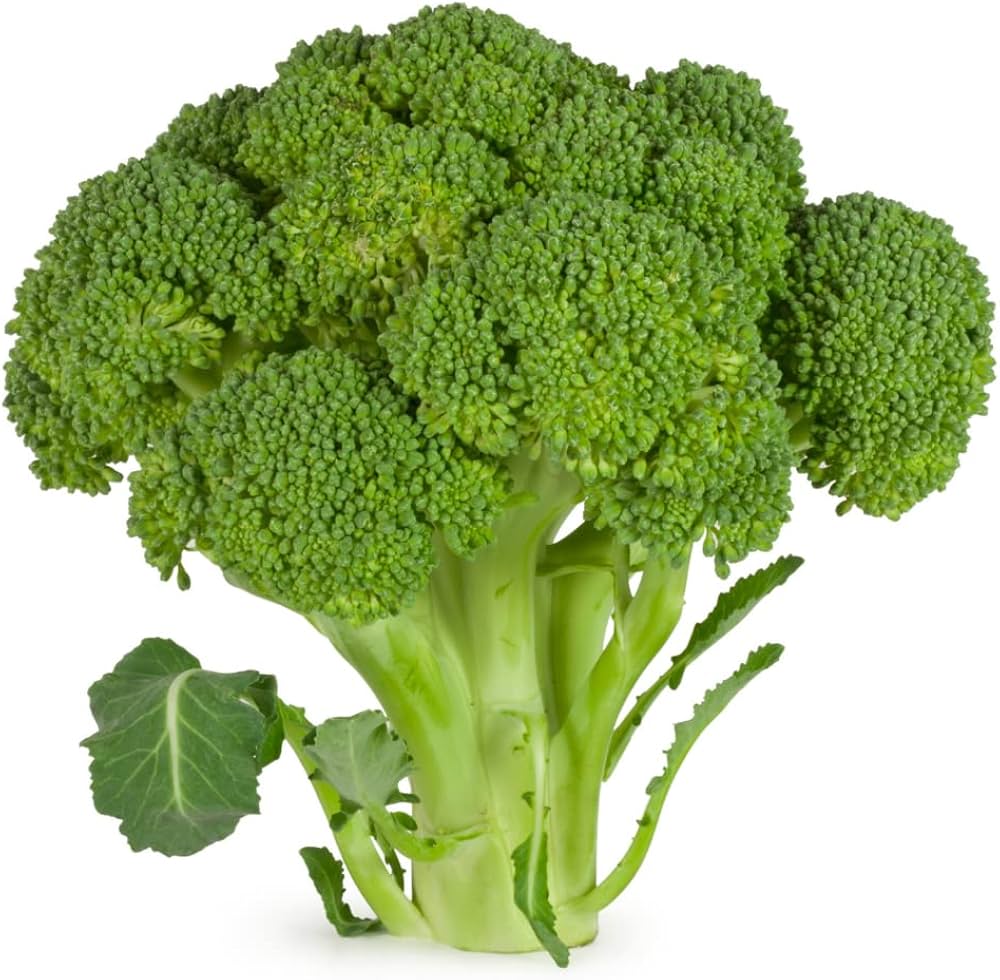Broccoli ‘Kaiser’ vegetable seeds – nutrient - rich heirloom variety - Dharaseeds