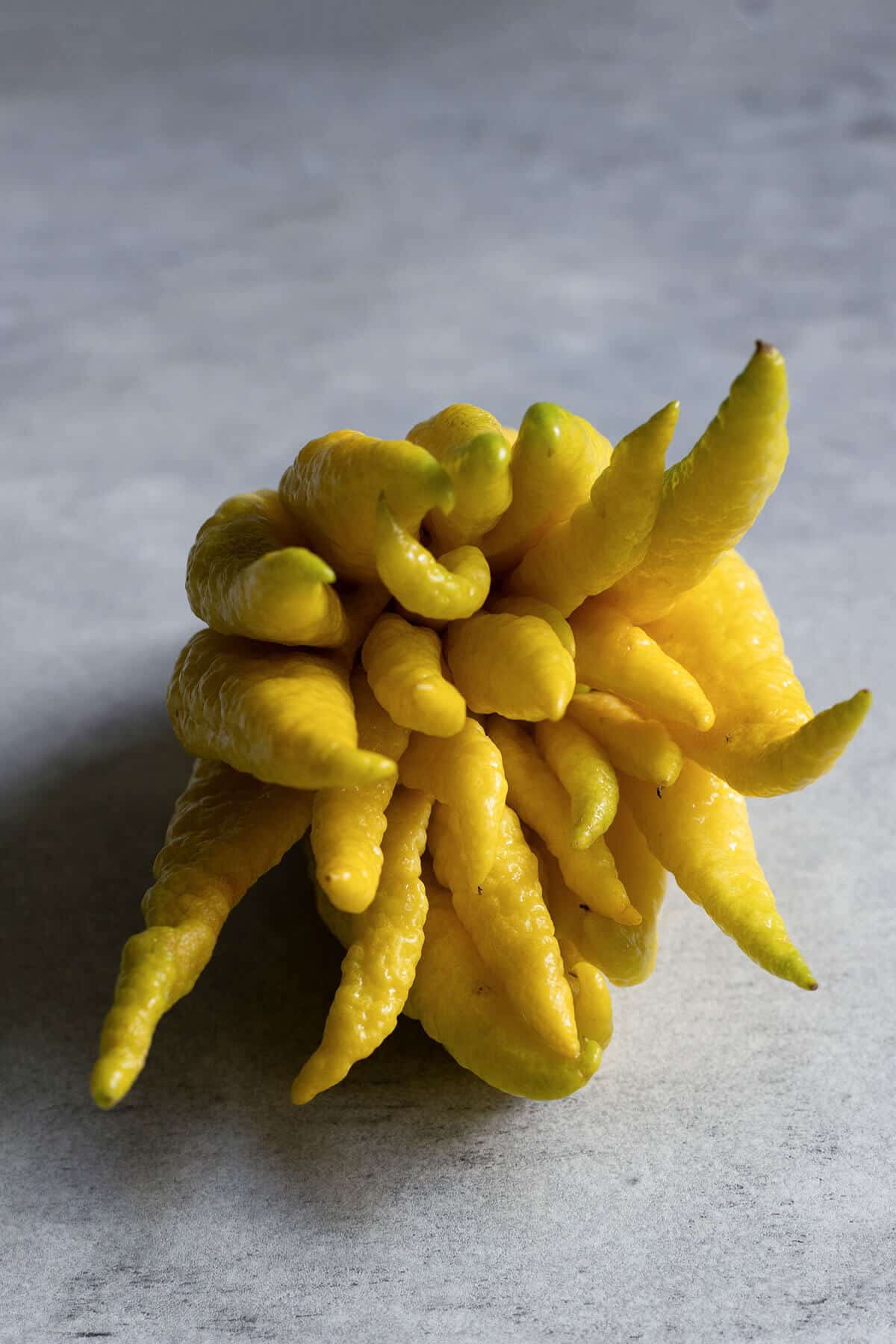 Buddha’s Hand Seeds (Citrus medica var. sarcodactylis)