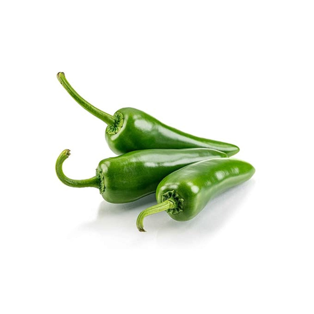 bullet green chili seedlings early growth stage in home garden