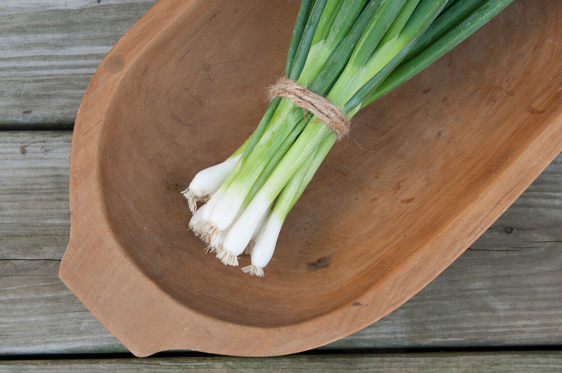 Scallions Vegetable Seeds for Planting heirloom & Non-GMO Seeds