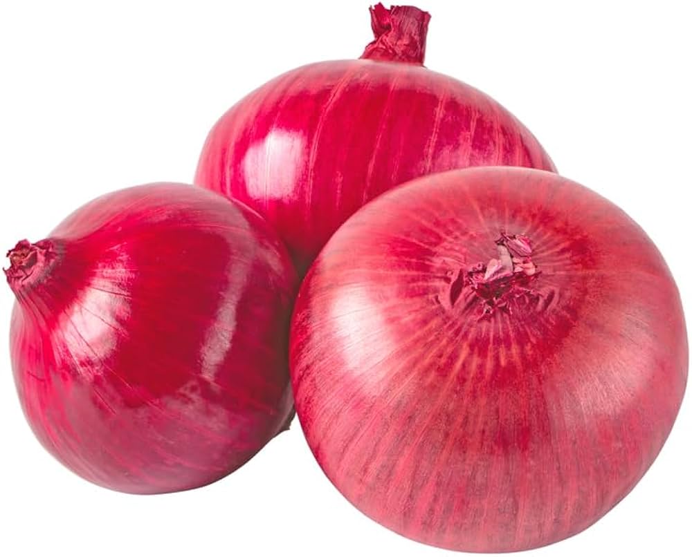 Burgundy red onion Allium cepa vegetable seeds for planting in kitchen garden or compact backyard rows - Dharaseeds