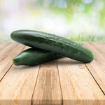 Burpless Cucumber 26 vegetable seeds for easy - to - digest crisp harvests - Dharaseeds