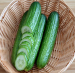 Burpless Cucumber 26 vegetable seeds for easy - to - digest crisp harvests - Dharaseeds