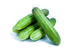 Burpless cucumber Cucumis sativus vegetable seeds for planting in kitchen garden or balcony grow boxes - Dharaseeds