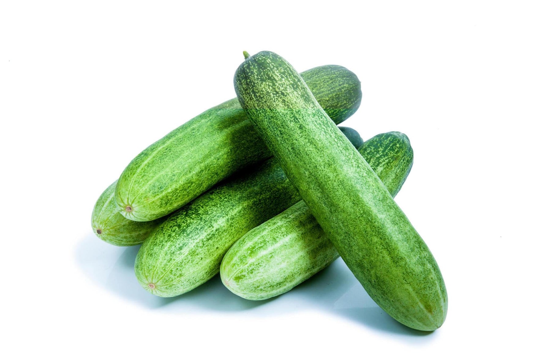 Burpless cucumber Cucumis sativus vegetable seeds for planting in kitchen garden or balcony grow boxes - Dharaseeds
