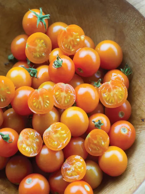 Tomato Seeds - Sungold