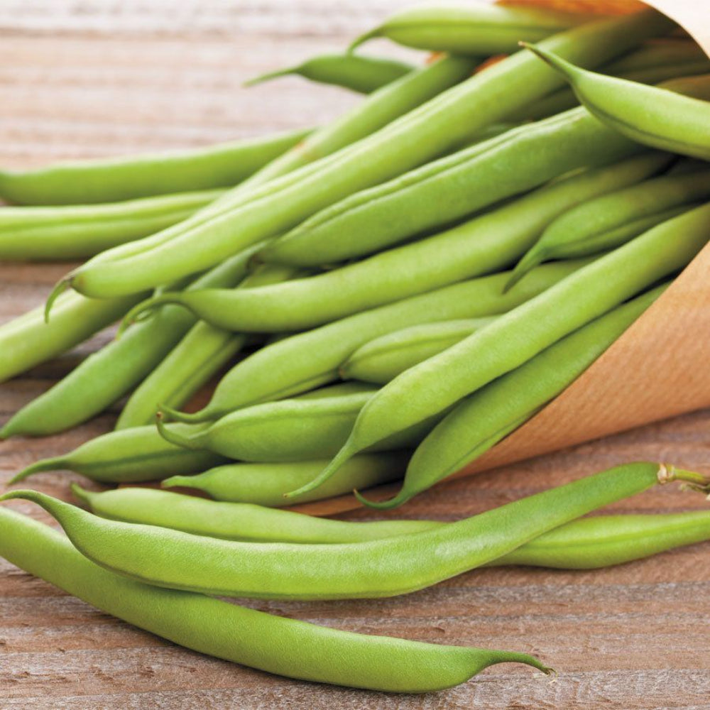 Green Pole Bean Vegetable Seeds for Planting, heirloom & Non-GMO Seeds