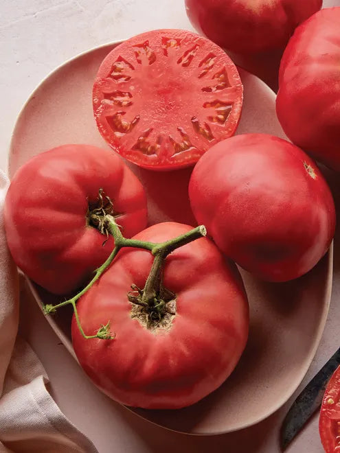 Tomato Seeds - Brandywine Pink