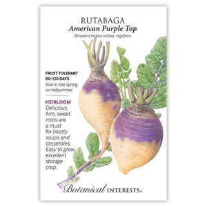 freshly harvested rutabaga roots with green tops

