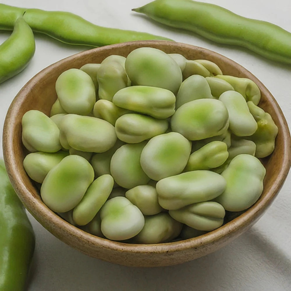 Midori Star Edamame Soybean Seeds | High-Protein Tender Green Edamame – Heirloom, Non-GMO, High Germination Organic Garden Seeds