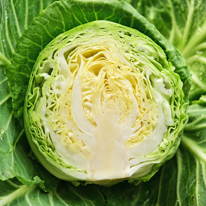 Cabbage Seeds - Copenhagen Market