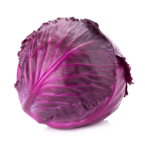 Cabbage Red heirloom non-GMO organic garden seeds