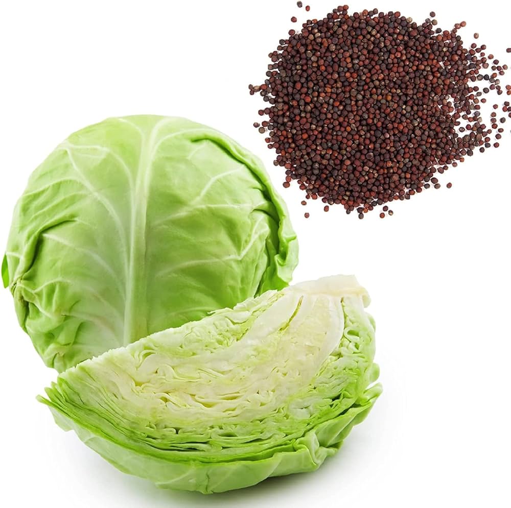 Mixed garden cabbage seeds versatile blend for home gardening