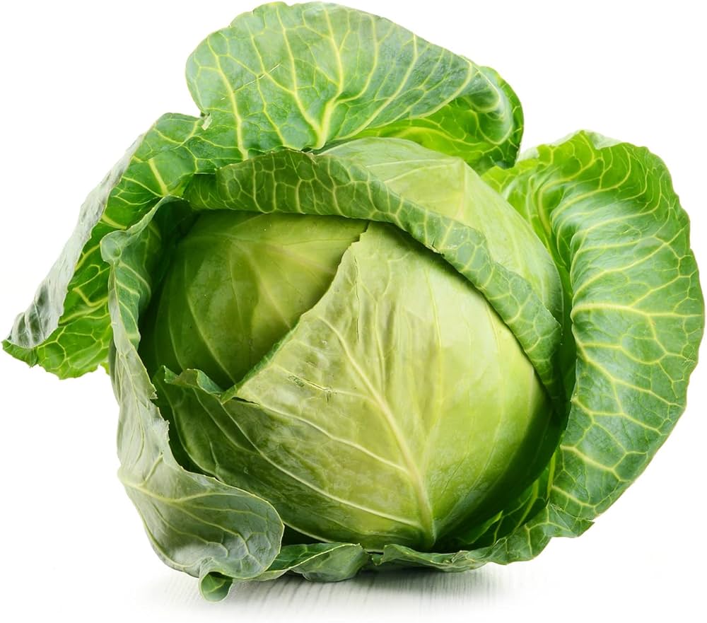 Cairo cabbage seeds for organic gardening with high germination