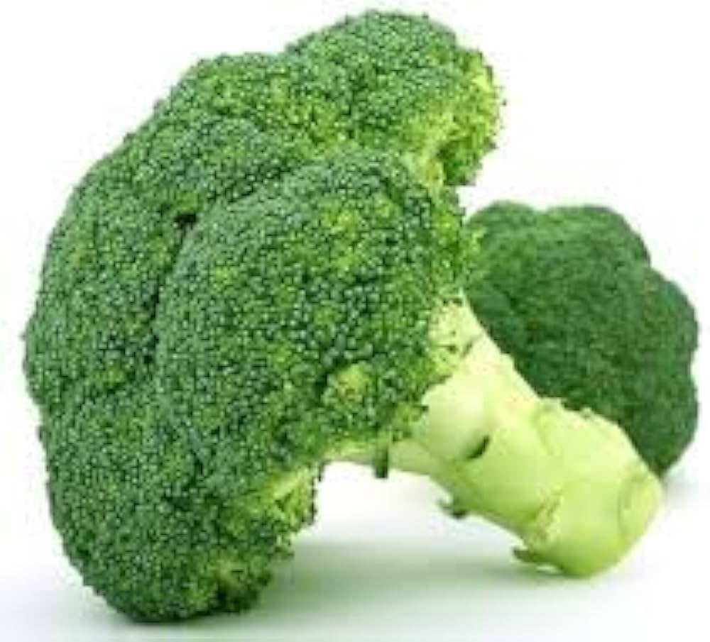 Calabrese Broccoli Seeds (Semi NT) – Early Maturing Italian Heirloom Variety - Dharaseeds
