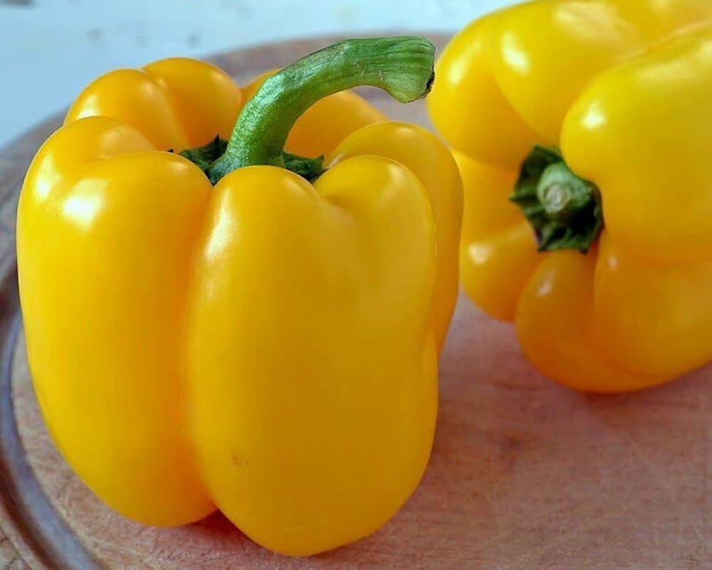 California Golden Bell pepper Capsicum annuum seeds for planting in sunny gardens - Dharaseeds