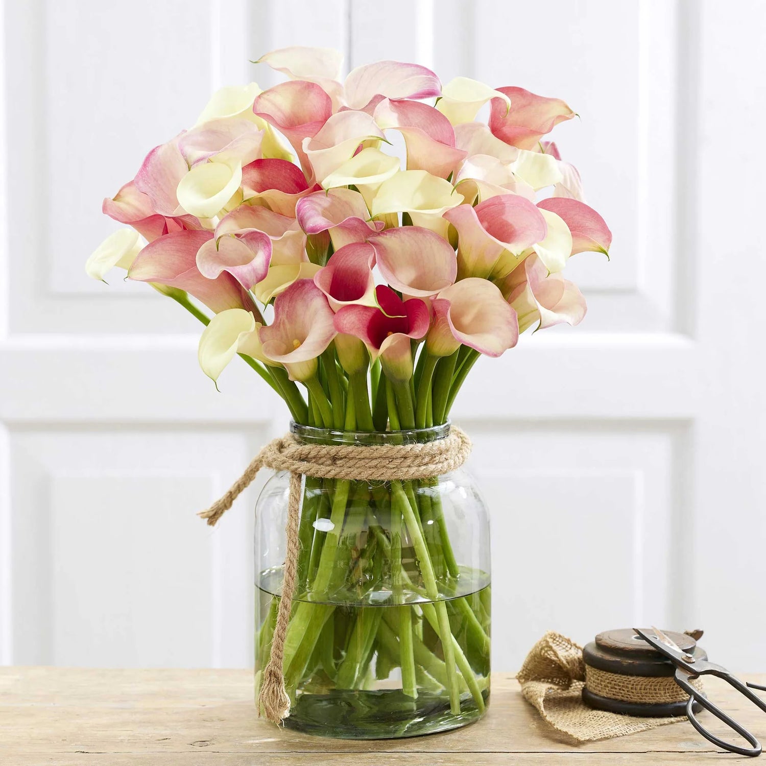 Calla Lily Bulbs - Romantic Mix