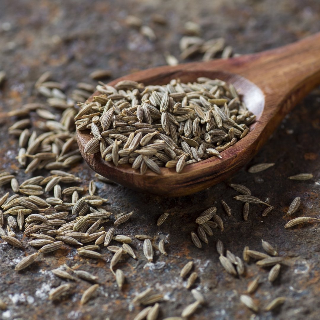 Annual Foeniculum Vulgare Fennel Herb Garden Seeds