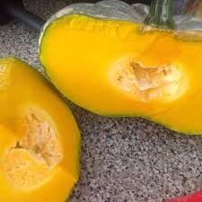 Candy Roaster Vegetable Seeds for Planting - 100 Pcs pcs - Dharaseeds