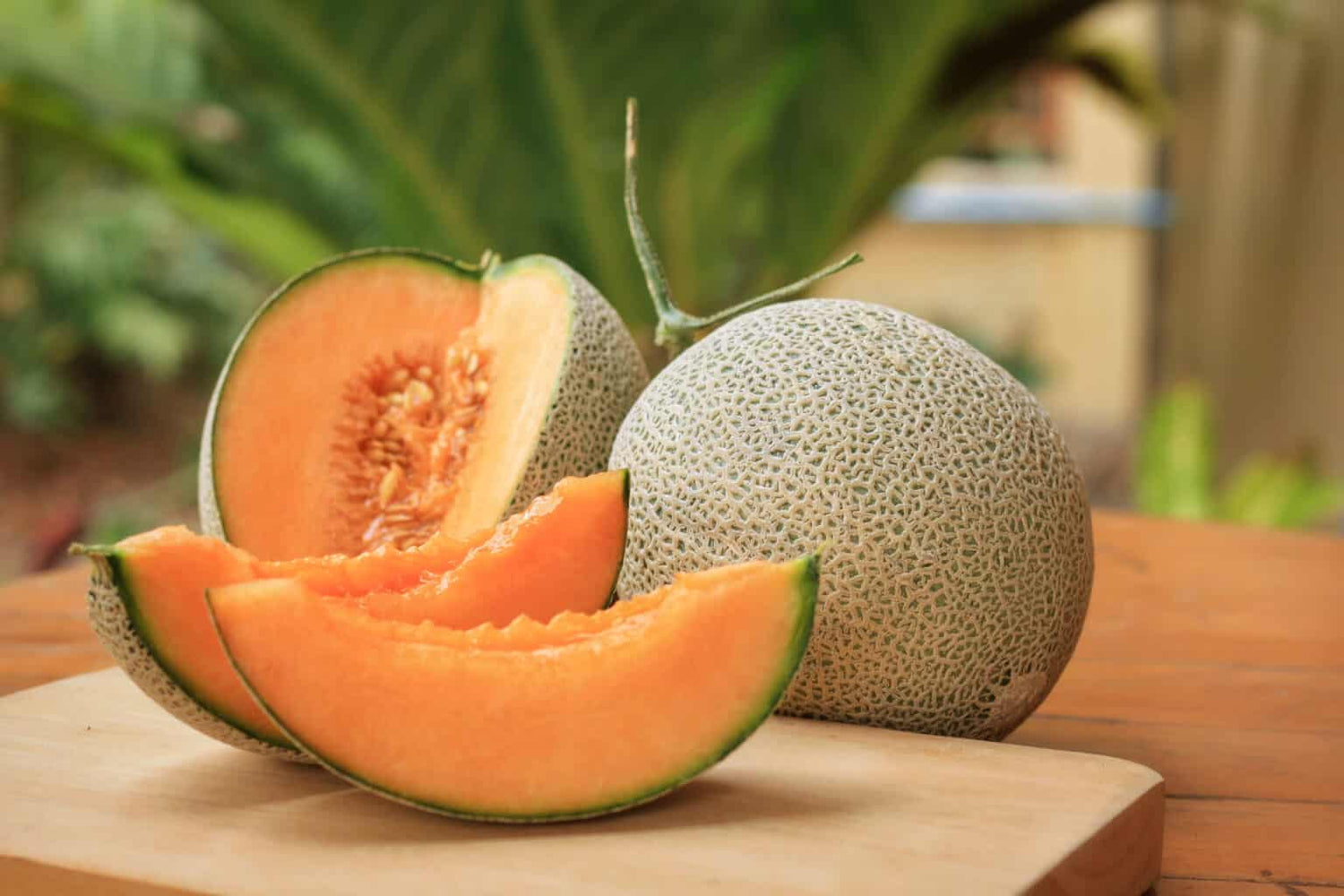 Hami Melon Seeds